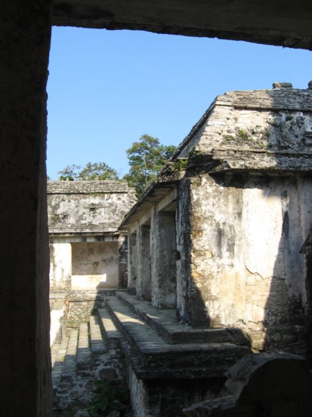 palenque160.jpg