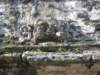 palenque174_small.jpg