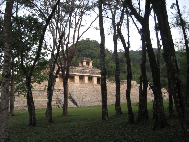 palenque229.jpg