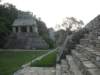 palenque288_small.jpg