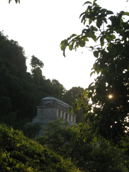 palenque333.jpg