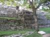 palenque375_small.jpg