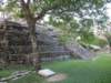 palenque376_small.jpg