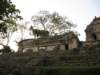 palenque378_small.jpg