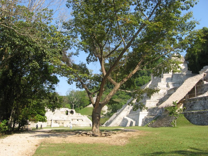 palenque5.jpg